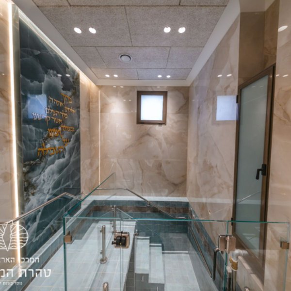 gallery picture